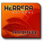 forastero.jpg forastero.jpg