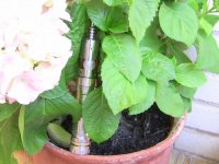 IMG_0123.jpg IMG_0123.jpg