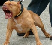 enrage.jpg enrage.jpg