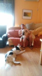 11653300_988736497826198_1839815787_n.jpg 11653300_988736497826198_1839815787_n.jpg