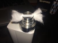 Bach ss 076.jpg Bach ss 076.jpg