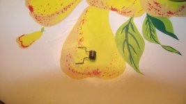 DSCF1105.jpg DSCF1105.jpg