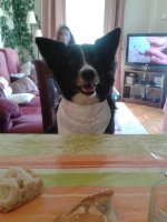 fotoss movil FEBRERO2016 554.jpg