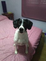 14671124_10157653802240694_7687627601725329122_n.jpg 14671124_10157653802240694_7687627601725329122_n.jpg