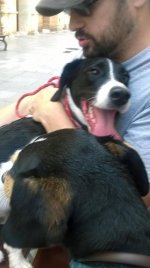 10294280_10154118748515694_2058092708255661845_n.jpg 10294280_10154118748515694_2058092708255661845_n.jpg