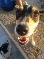 1380357_10153307719110694_2096967017_n.jpg 1380357_10153307719110694_2096967017_n.jpg