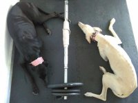 IMG-20160701-WA0000.jpg IMG-20160701-WA0000.jpg