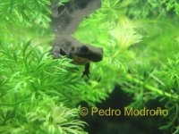 IMG_3004.jpg IMG_3004.jpg