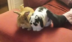 Sin tiÌtulo.jpg Sin tiÌtulo.jpg