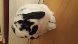 20160515_212909.jpg 20160515_212909.jpg