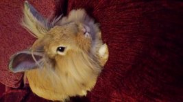 20160703_220339.jpg 20160703_220339.jpg