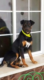 FB_IMG_1431859783825.jpg FB_IMG_1431859783825.jpg