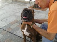 2013-06-30 09.42.33.jpg