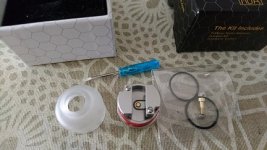 wasp 2.JPG wasp 2.JPG