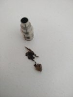 IMG_20180822_164303.jpg IMG_20180822_164303.jpg