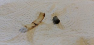 IMG-20190510-WA0018.jpg IMG-20190510-WA0018.jpg