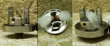 zeus single.jpg zeus single.jpg