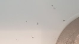 photo_2022-10-31_13-57-10.jpg photo_2022-10-31_13-57-10.jpg