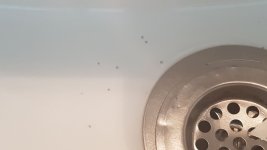 photo_2022-10-31_13-57-10 (2).jpg photo_2022-10-31_13-57-10 (2).jpg