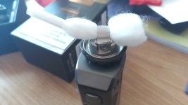 IMG_20230315_155709.jpg IMG_20230315_155709.jpg