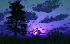 images (1).jpg images (1).jpg