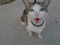 2014-07-17 12.02.12.jpg