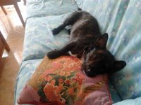 2012-05-22 14.30.47.jpg