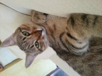 20130922_093245.jpg 20130922_093245.jpg