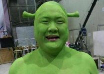 cosplayshrekwtf.jpg