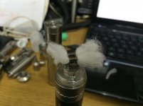 IMG_3548.jpg IMG_3548.jpg