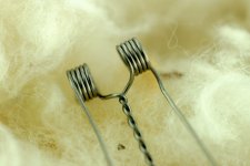 DSC09717__10024.1411036142.1280.1280.JPG DSC09717__10024.1411036142.1280.1280.JPG