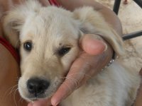 RSCN1228.jpg RSCN1228.jpg