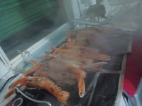 IMG_20141224_210321.jpg IMG_20141224_210321.jpg