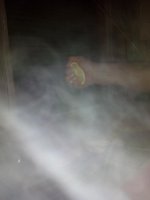 IMG_20141224_210259.jpg IMG_20141224_210259.jpg