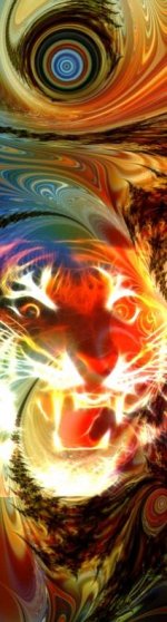 grat cats by blak.jpg