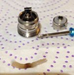 3 algodonviejo.jpg 3 algodonviejo.jpg