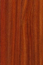 am_389718_3846866_689205.jpg am_389718_3846866_689205.jpg