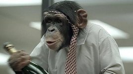 chimpance-bebiendo--575x323.jpg