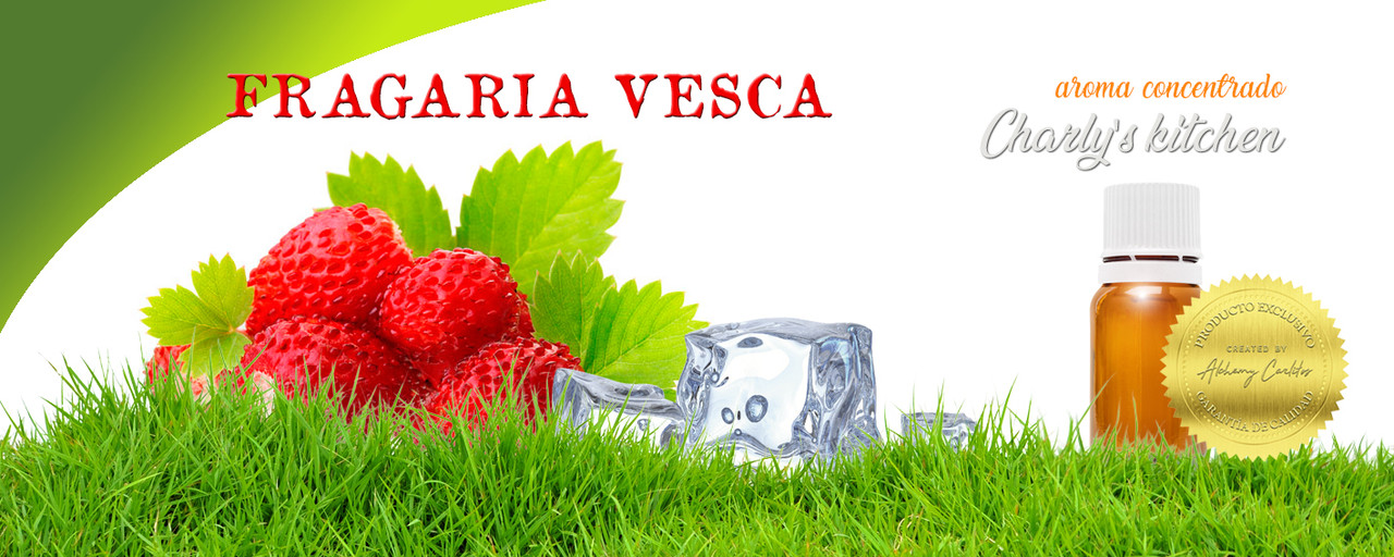 AROMA-FRESAS-SILVESTRES.jpg