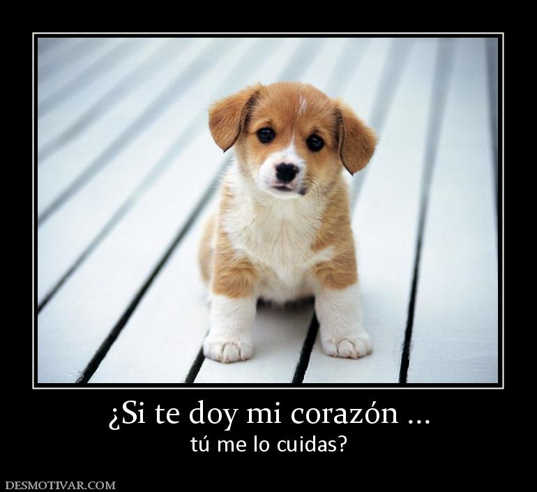 106983_si-te-doy-mi-corazon-.jpg