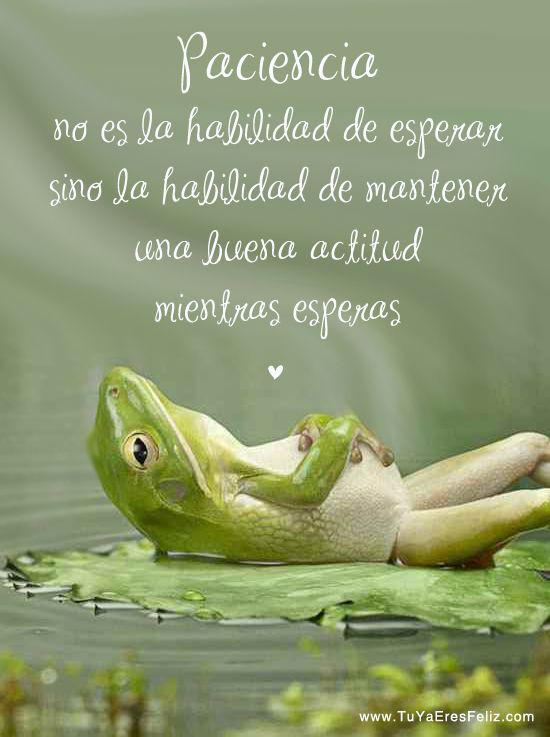 paciencia21.jpg